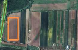 Investitie! Teren extravilan 30000 mp, in Bujac
