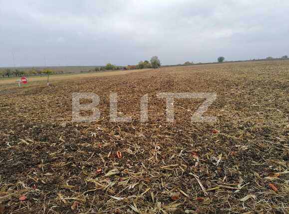 Teren de vânzare Bujac - 74918TV | BLITZ Arad | Poza1