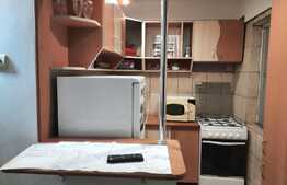 Garsoniera de 26 mp, zona linistita, Micalaca