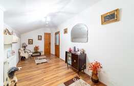 Casa 5 camere, teren 250 mp, ultracentral Arad