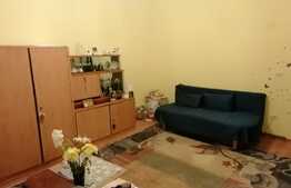 Apartament la casa de 1 camera, 55 mp, Ultracentral!