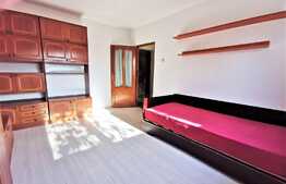 Apartament 1 camera spatios, luminos, cu garaj, aproape de facultate