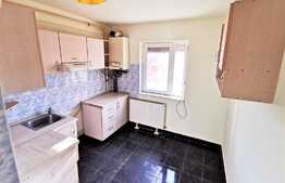 Apartament 1 camera spatios, luminos, cu garaj, aproape de facultate