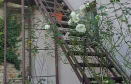 Casa individuala,140 mp utili, teren 530 mp, Central