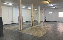 Spațiu comercial de inchiriat, 4 camere, 327 mp, zona Alfa