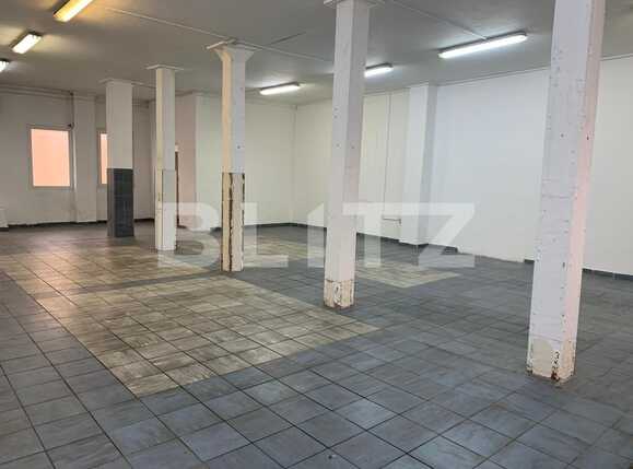 Spațiu industrial de închiriat Alfa - 76067SII | BLITZ Arad | Poza1