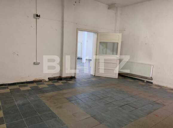 Spațiu industrial de închiriat Alfa - 76067SII | BLITZ Arad | Poza4