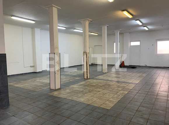 Spațiu industrial de închiriat Alfa - 76067SII | BLITZ Arad | Poza2
