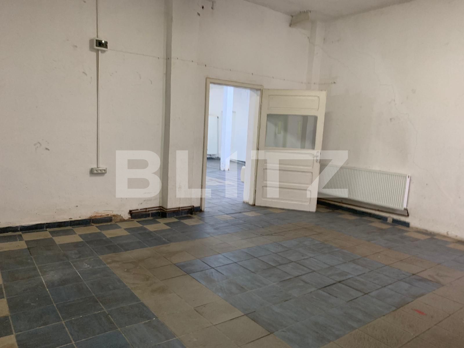 Spațiu industrial de închiriat Alfa - 76067SII | BLITZ Arad | Poza4