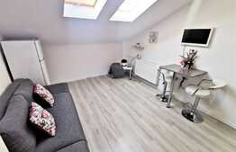 Oportunitate! Garsoniera spatiosa la cheie Cocorilor, Vlaicu