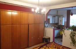 Urgent! Proprietate mixta, pensiune, magazin alimentar, 11 camere, Aradul Nou!