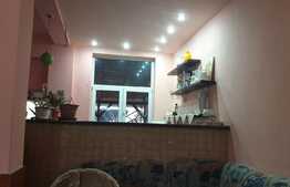 Urgent! Proprietate mixta, pensiune, magazin alimentar, 11 camere, Aradul Nou!