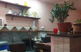 Urgent! Proprietate mixta, pensiune, magazin alimentar, 11 camere, Aradul Nou!