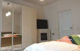 Urgent! Proprietate mixta, pensiune, magazin alimentar, 11 camere, Aradul Nou!