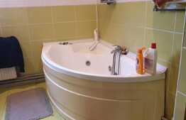 Urgent! Proprietate mixta, pensiune, magazin alimentar, 11 camere, Aradul Nou!