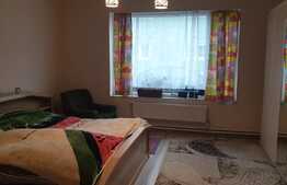 Urgent! Proprietate mixta, pensiune, magazin alimentar, 11 camere, Aradul Nou!