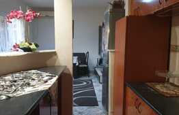 Urgent! Proprietate mixta, pensiune, magazin alimentar, 11 camere, Aradul Nou!