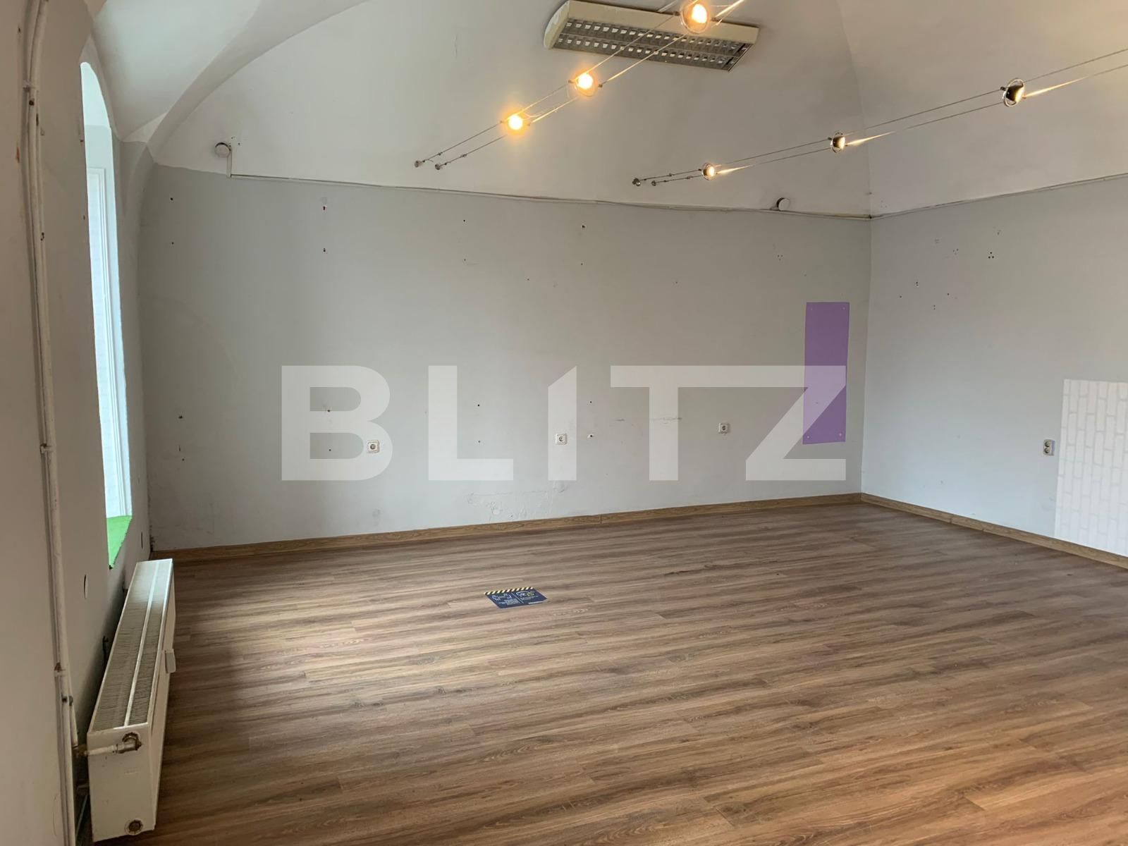 Spațiu comercial de închiriat Boul Rosu - 76306SIC | BLITZ Arad | Poza3
