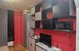 Oportunitate investitie! Garsoniera cocheta, zona UTA 