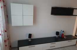 Apartament de 2 camere, 60 mp, parcare, Vlaicu!