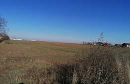 Teren intravilan 7317 mp, in Zimandcuz