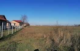 Teren intravilan 7317 mp, in Zimandcuz