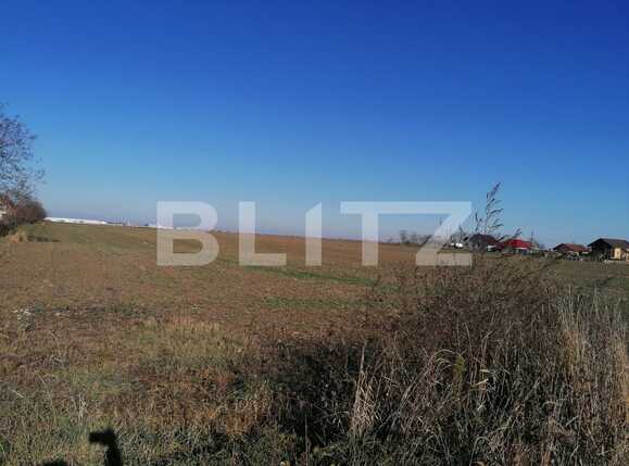 Teren de vânzare Vest - 76366TV | BLITZ Arad | Poza2