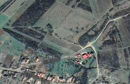Teren extravilan cu viță de vie, 1700 mp, in Covasant