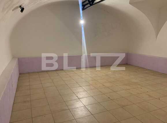 Spațiu comercial de închiriat Boul Rosu - 76586SIC | BLITZ Arad | Poza2