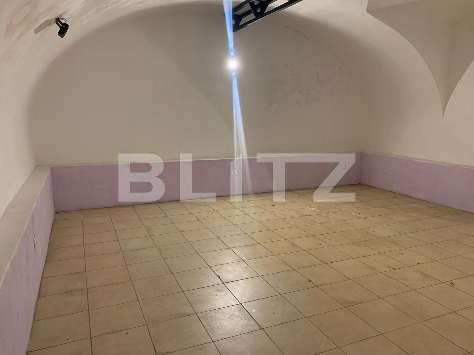 Spațiu comercial de închiriat Boul Rosu - 76586SIC | BLITZ Arad | Poza2
