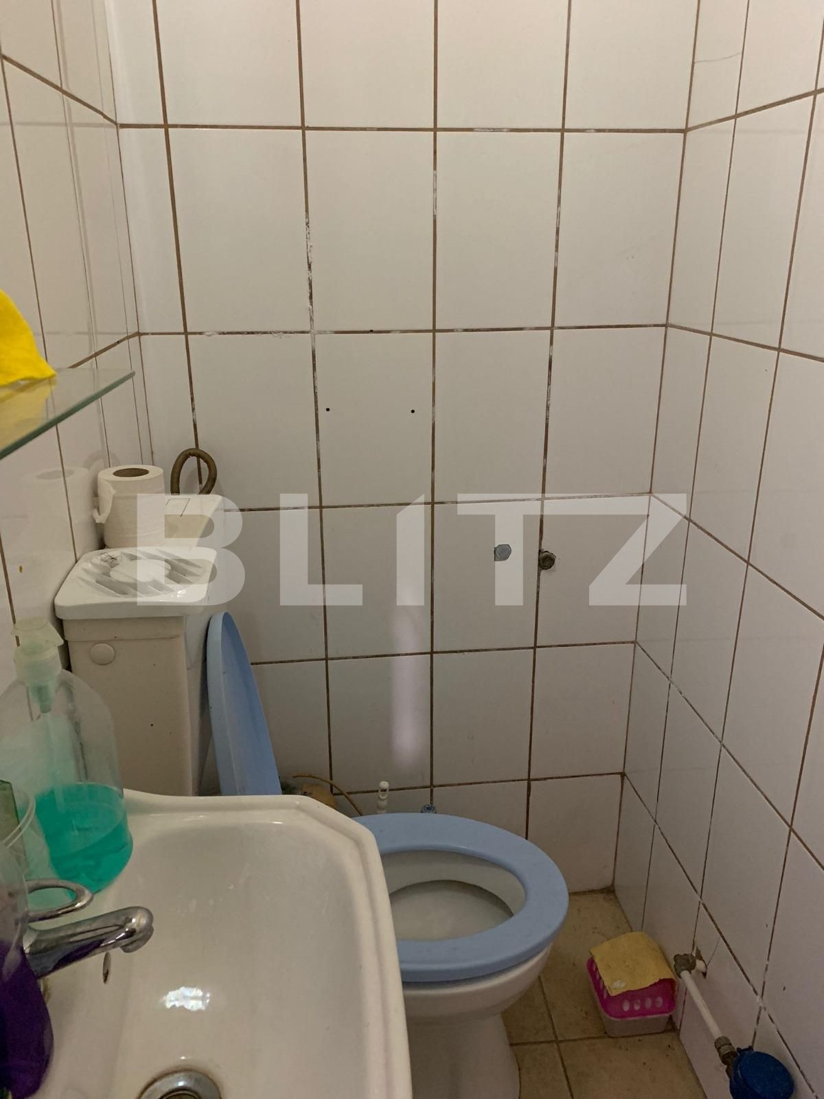 Spațiu comercial de închiriat Boul Rosu - 76586SIC | BLITZ Arad | Poza7