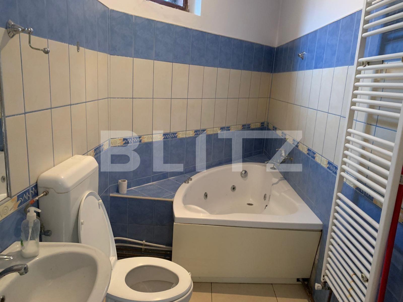 Spațiu comercial de închiriat P-ta Garii - 76840SIC | BLITZ Arad | Poza6
