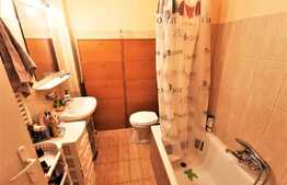 Apartament 1 camera, 45 mp utili, mobilat, zona Alfa!