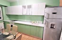 Apartament 1 camera, 45 mp utili, mobilat, zona Alfa!