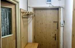 Apartament spatios de 2 camere, garaj, zona Bancilor!