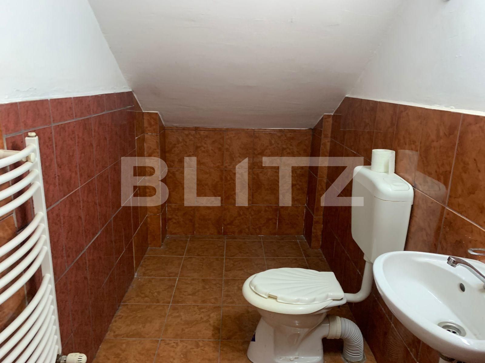 Spațiu comercial de închiriat Central - 77080SIC | BLITZ Arad | Poza9