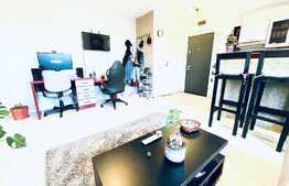 Apartament la cheie, 2 camere, 56 mp, zona Centrală, Podgoria!