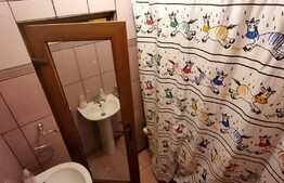 Apartament la casa de 3 camere, zona Aradul Nou!