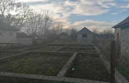 Teren intravilan, 1044 mp, in Curtici