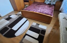 Investitie! Casa P+M cu ferma, atelier, hale, teren 15000 mp, Apateu