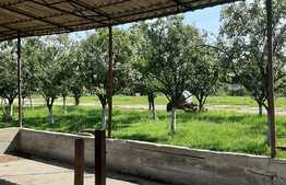 Investitie! Casa P+M cu ferma, atelier, hale, teren 15000 mp, Apateu