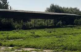 Investitie! Casa P+M cu ferma, atelier, hale, teren 15000 mp, Apateu