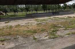 Investitie! Casa P+M cu ferma, atelier, hale, teren 15000 mp, Apateu