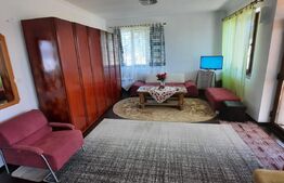 Investitie! Casa P+M cu ferma, atelier, hale, teren 15000 mp, Apateu