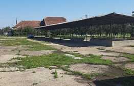 Investitie! Casa P+M cu ferma, atelier, hale, teren 15000 mp, Apateu