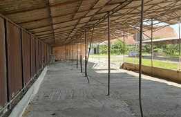 Investitie! Casa P+M cu ferma, atelier, hale, teren 15000 mp, Apateu