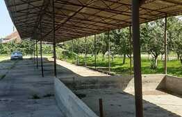 Investitie! Casa P+M cu ferma, atelier, hale, teren 15000 mp, Apateu