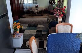 Investitie! Casa P+M cu ferma, atelier, hale, teren 15000 mp, Apateu