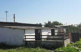 Investitie! Casa P+M cu ferma, atelier, hale, teren 15000 mp, Apateu