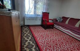 Investitie! Casa P+M cu ferma, atelier, hale, teren 15000 mp, Apateu